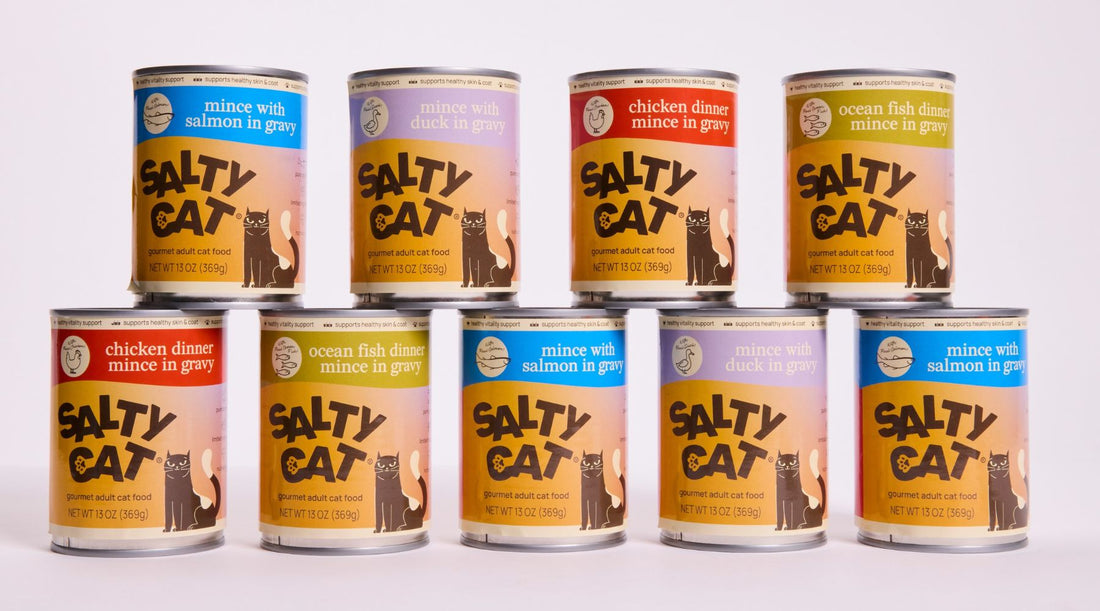 chicken or duck: which protein is best for your cat?