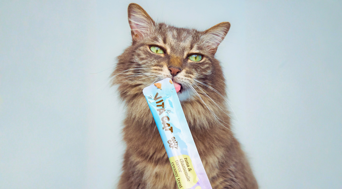 cat food safety & quality practices at salty cat