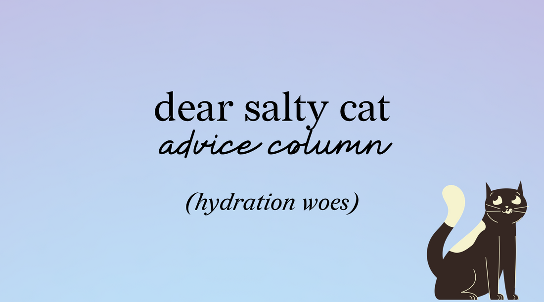 “help, my cat doesn’t drink enough water! what do i do?”