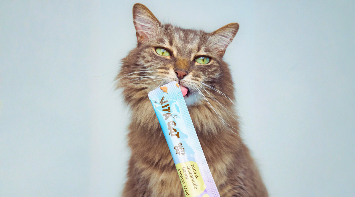 cat food safety & quality practices at salty cat