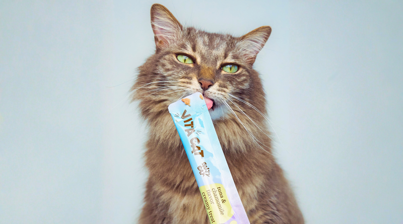 cat food safety & quality practices at salty cat