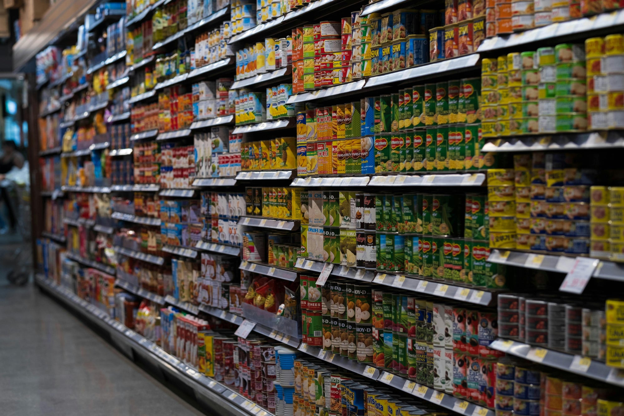 How Cat Food Shopping Habits Are Changing in 2026