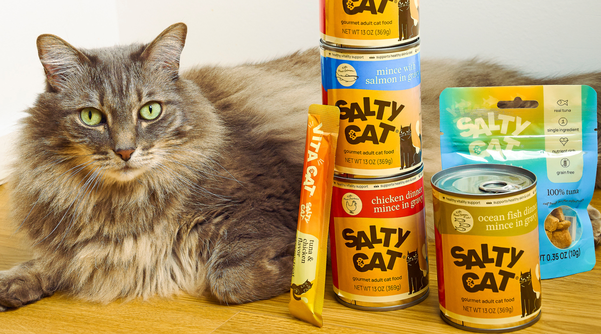 nutritious, sustainable, AND accessible pricing? is salty cat food too good to be true?