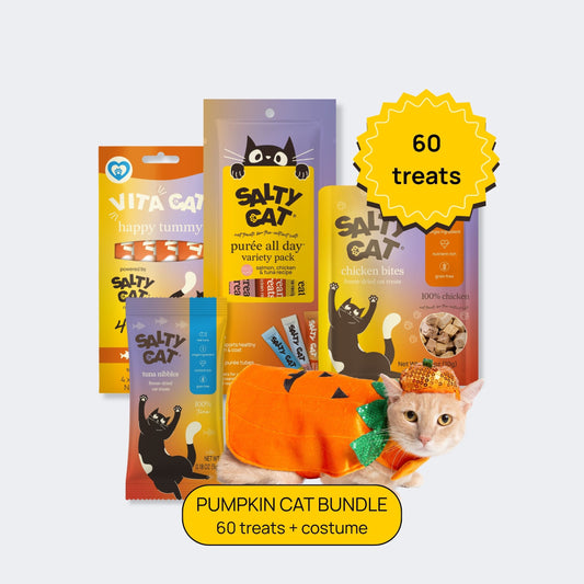 pumpkin cat bundle (60 treats)