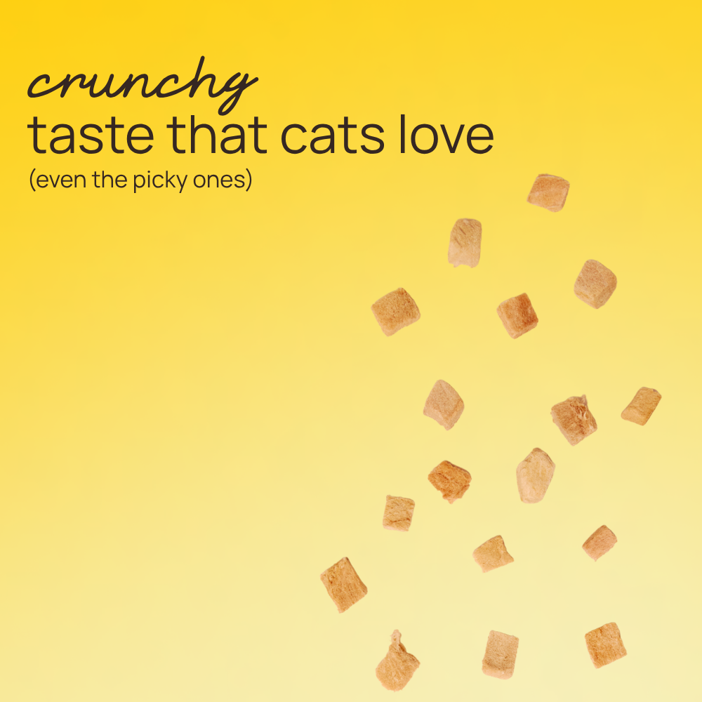🐟 freeze dried tuna cat treats 5g, 1 pack