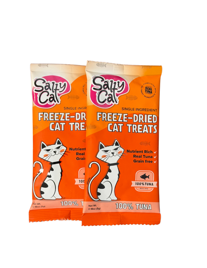 Two orange Salty Cat Goodie Bag treat pouches with cartoon cat illustration.