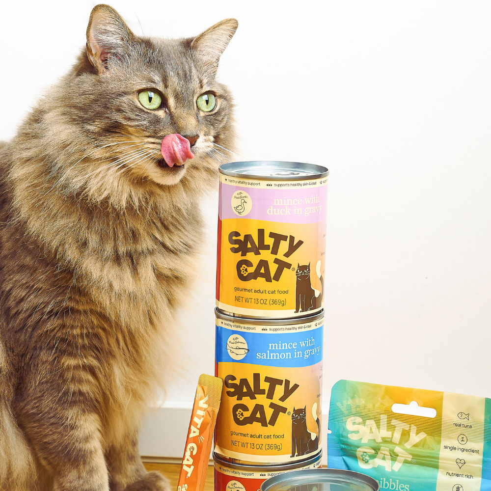 benefit booster, digestive support wet cat food, 12 pack