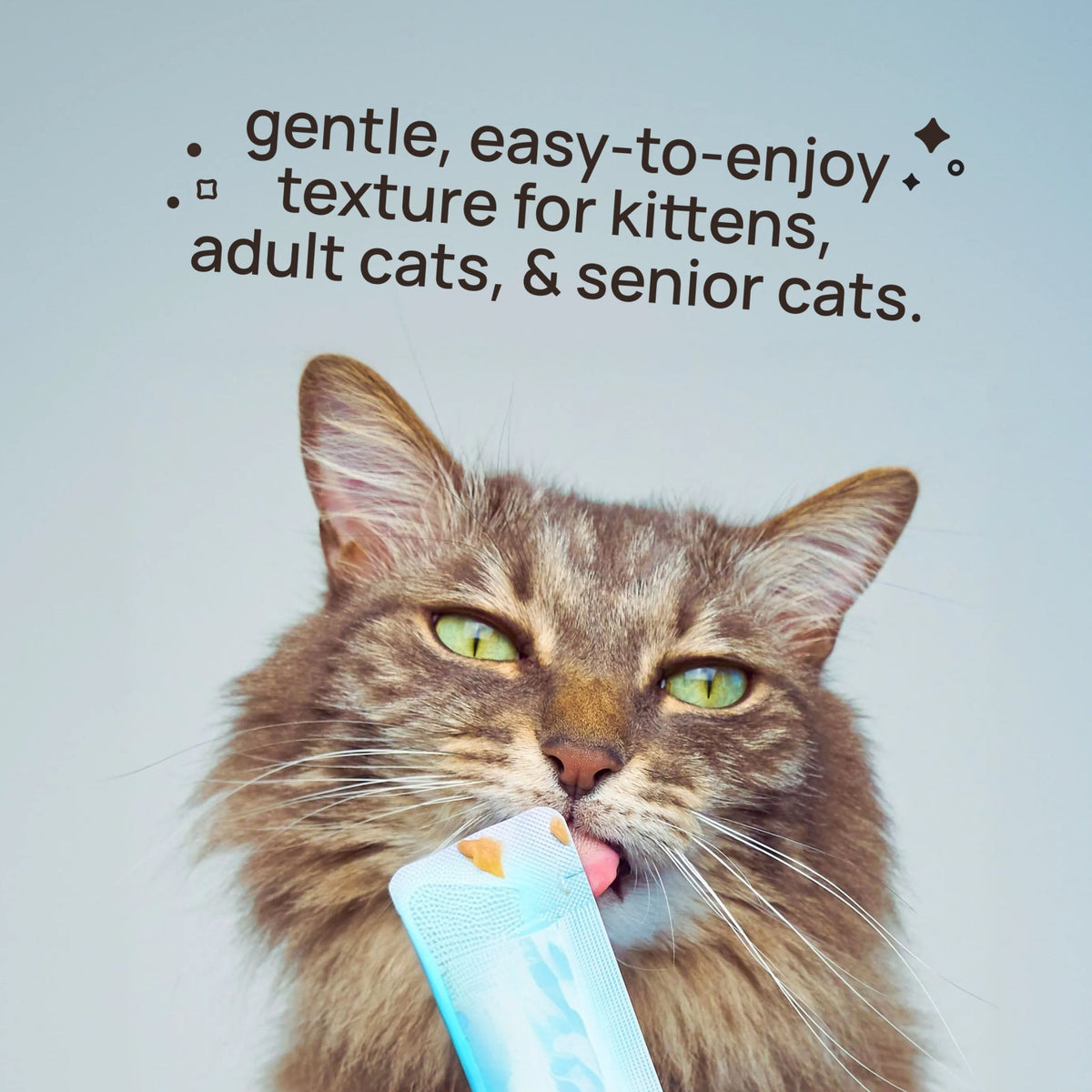 🛍️ vitacat by salty cat variety pack (20-tube pack)