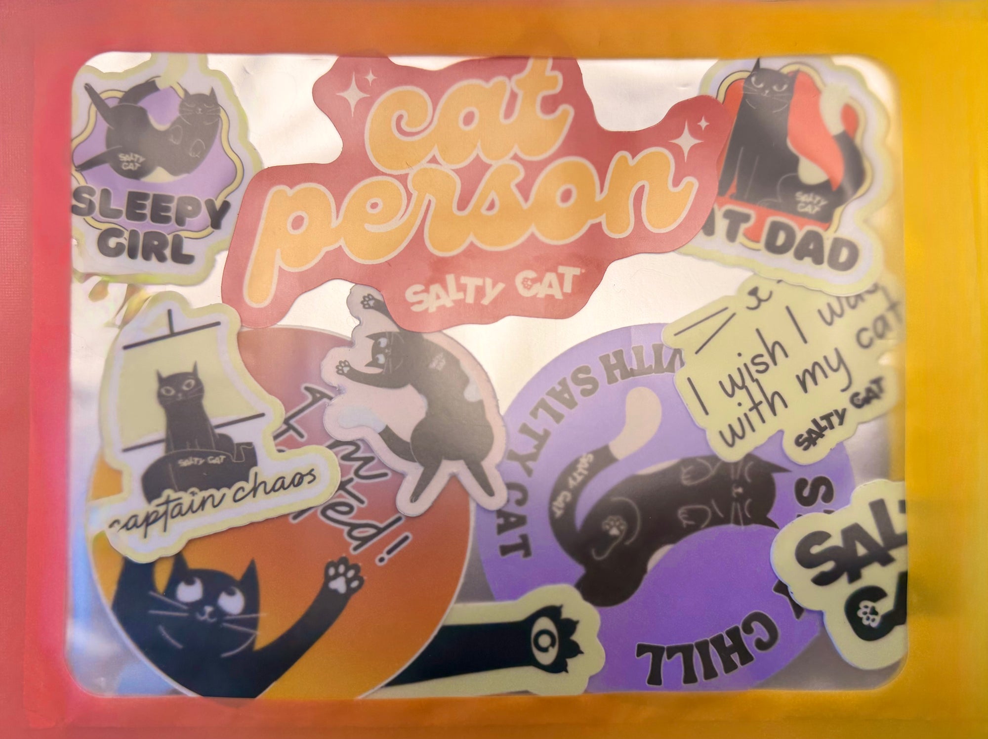 Salty Cat Surprise Sticker Bundle: fun cat cartoon stickers for your phone case or water bottle.