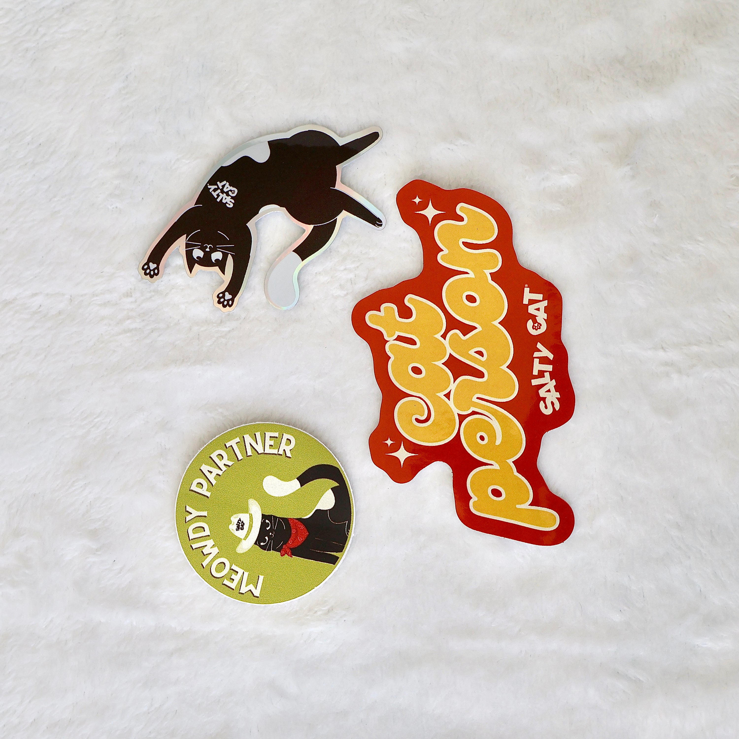 Salty Cat Surprise Sticker Bundle: 3 colorful stickers for your phone case or water bottle.