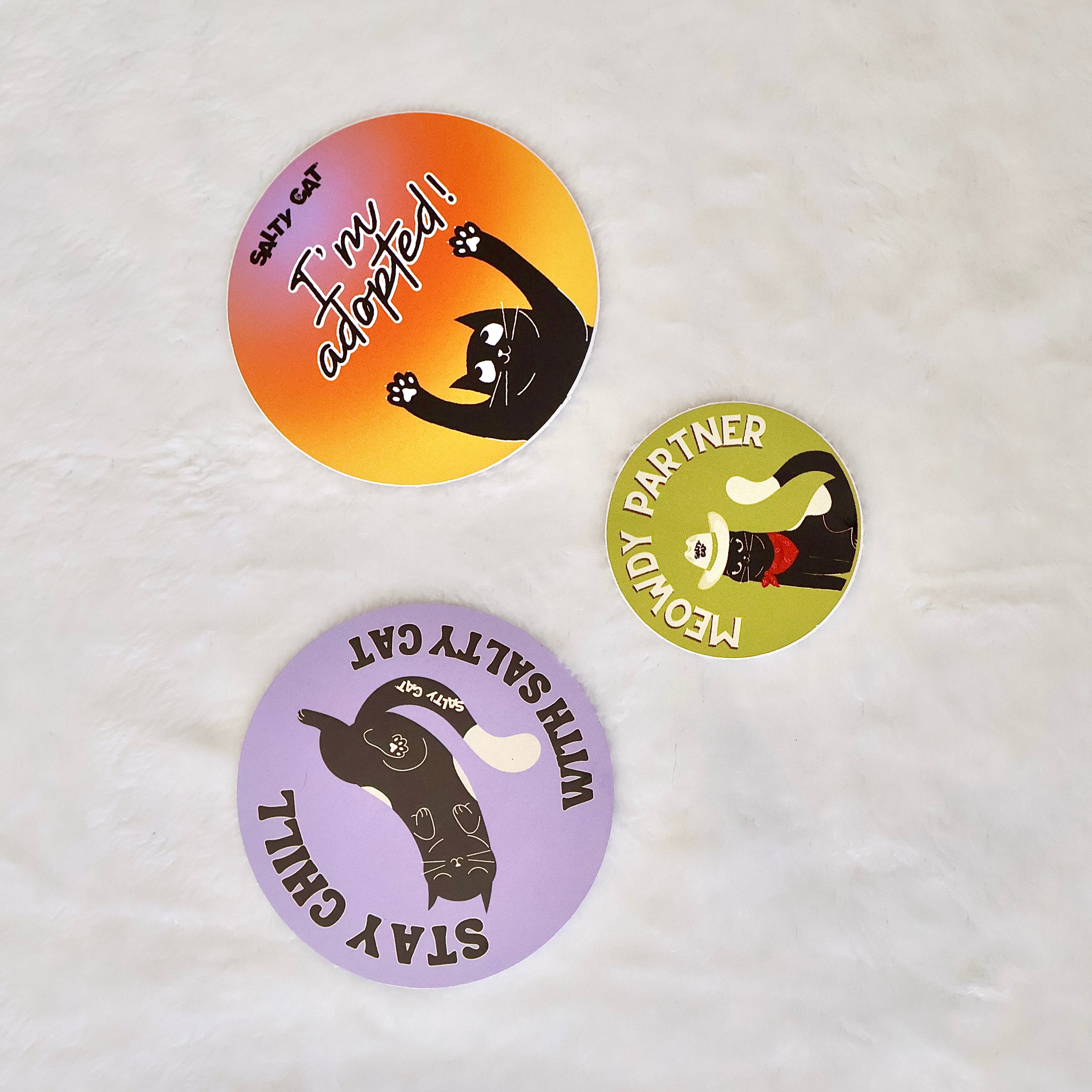 Salty Cat Surprise Sticker Bundle: fun, cat-themed stickers for playful decor and sticker fans!.