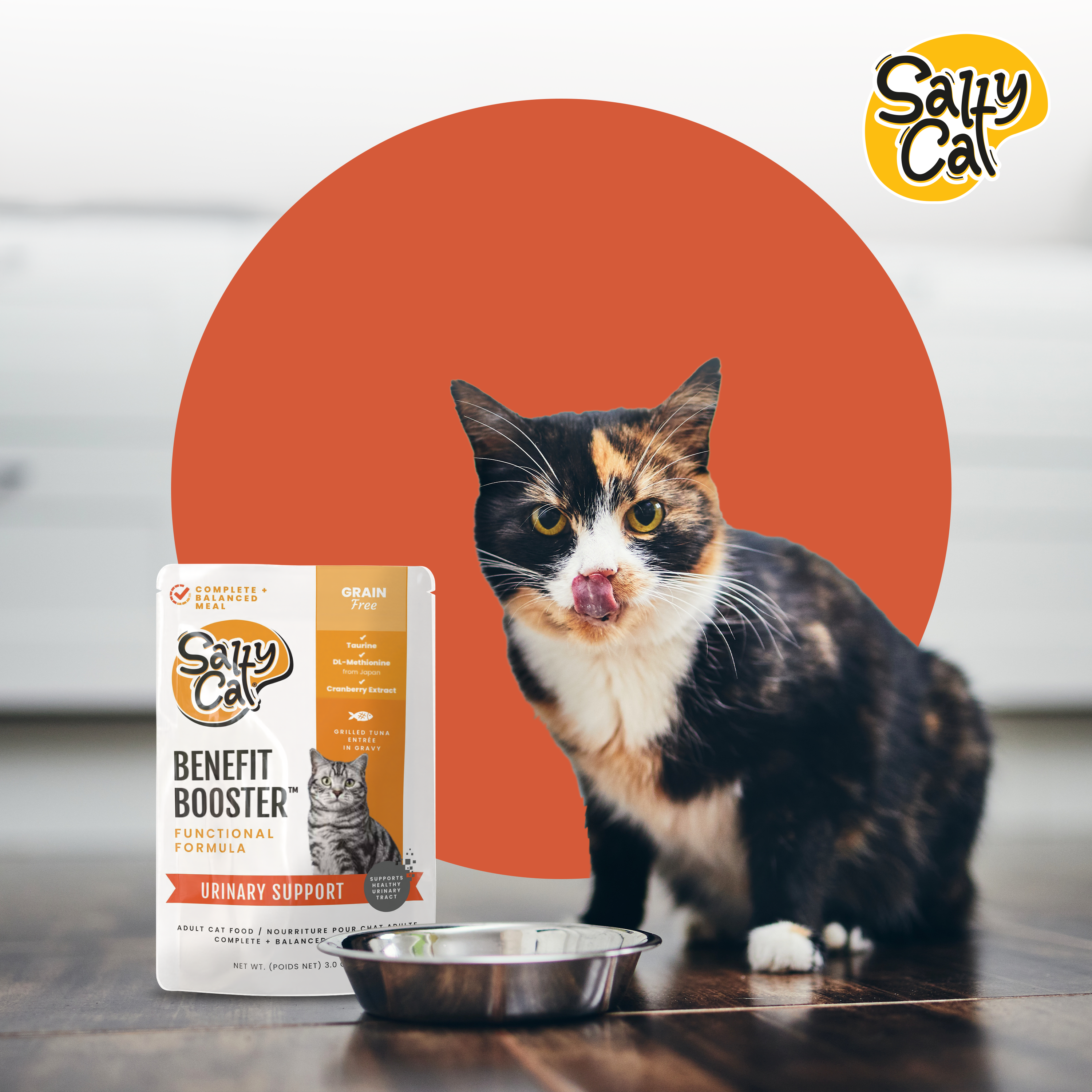 Salty Cat Benefit Booster Urinary Support Functional Wet Cat Food, 85g (12 Packs)