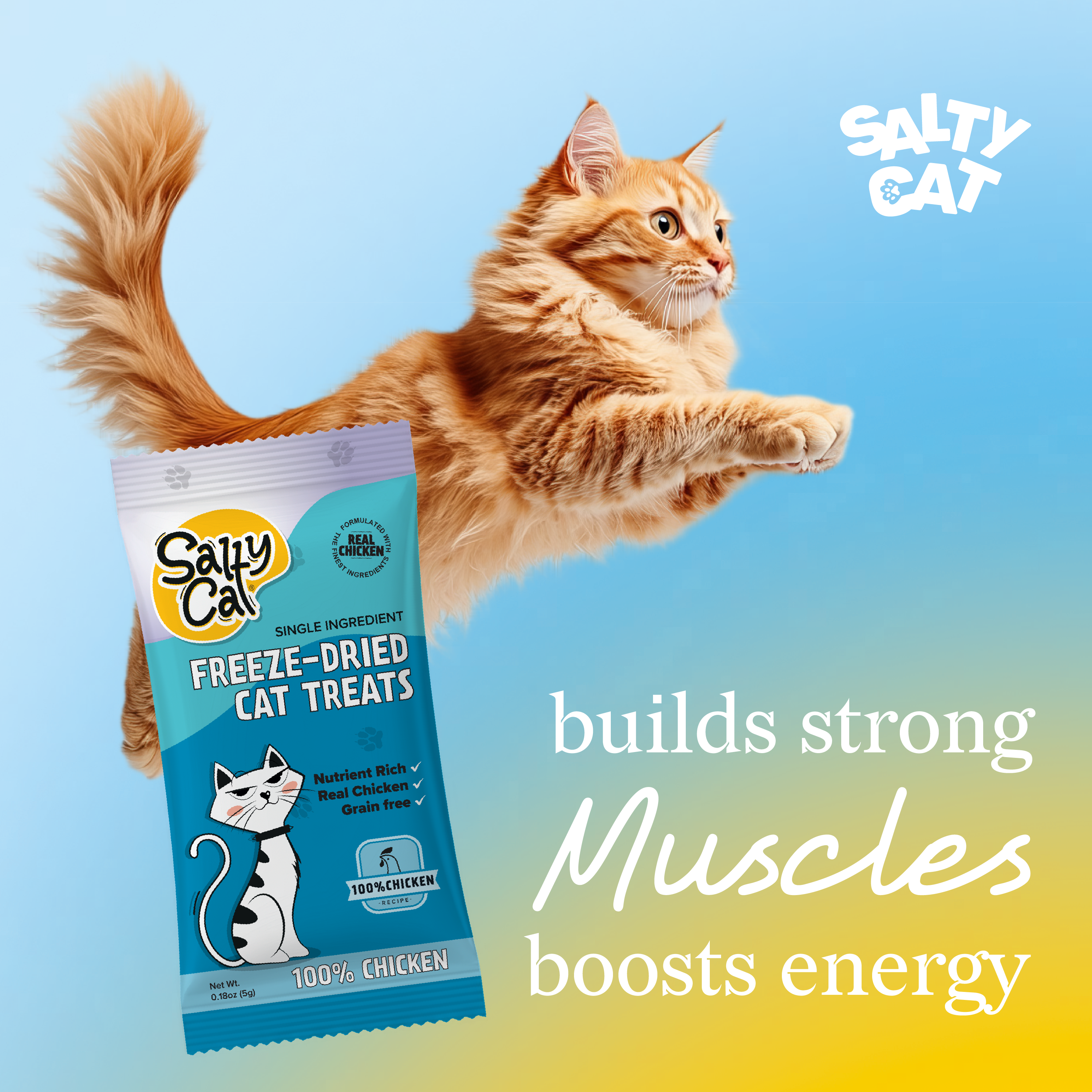 Salty Cat Freeze Dried Chicken Cat Treats: pure protein for energy and muscle, 24x5g packs.
