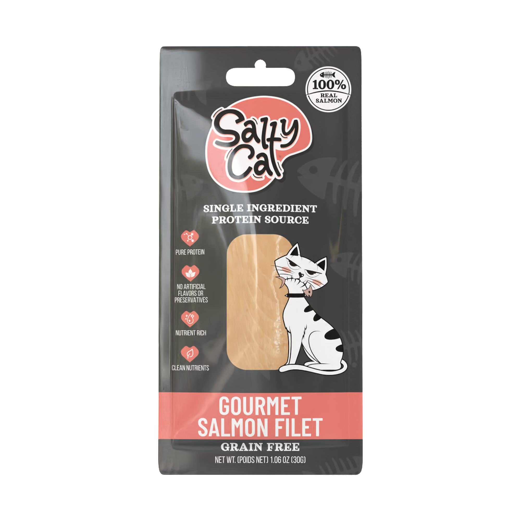 Salty Cat Gourmet Salmon Filet Treats for Cats, 30g (12 Packs)
