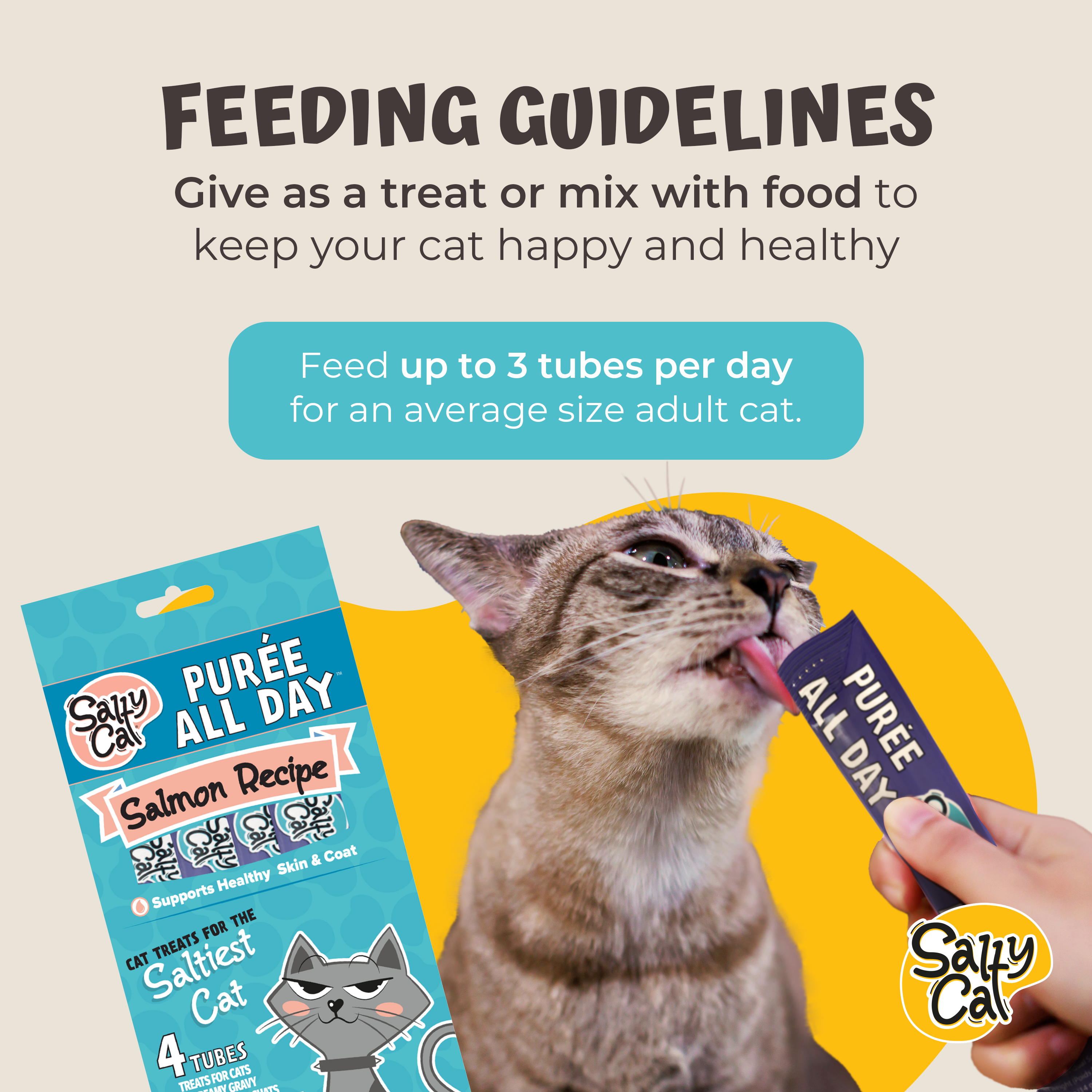 Salty Cat Purée All Day Natural Salmon Tube Cat Treats (12 Packs)