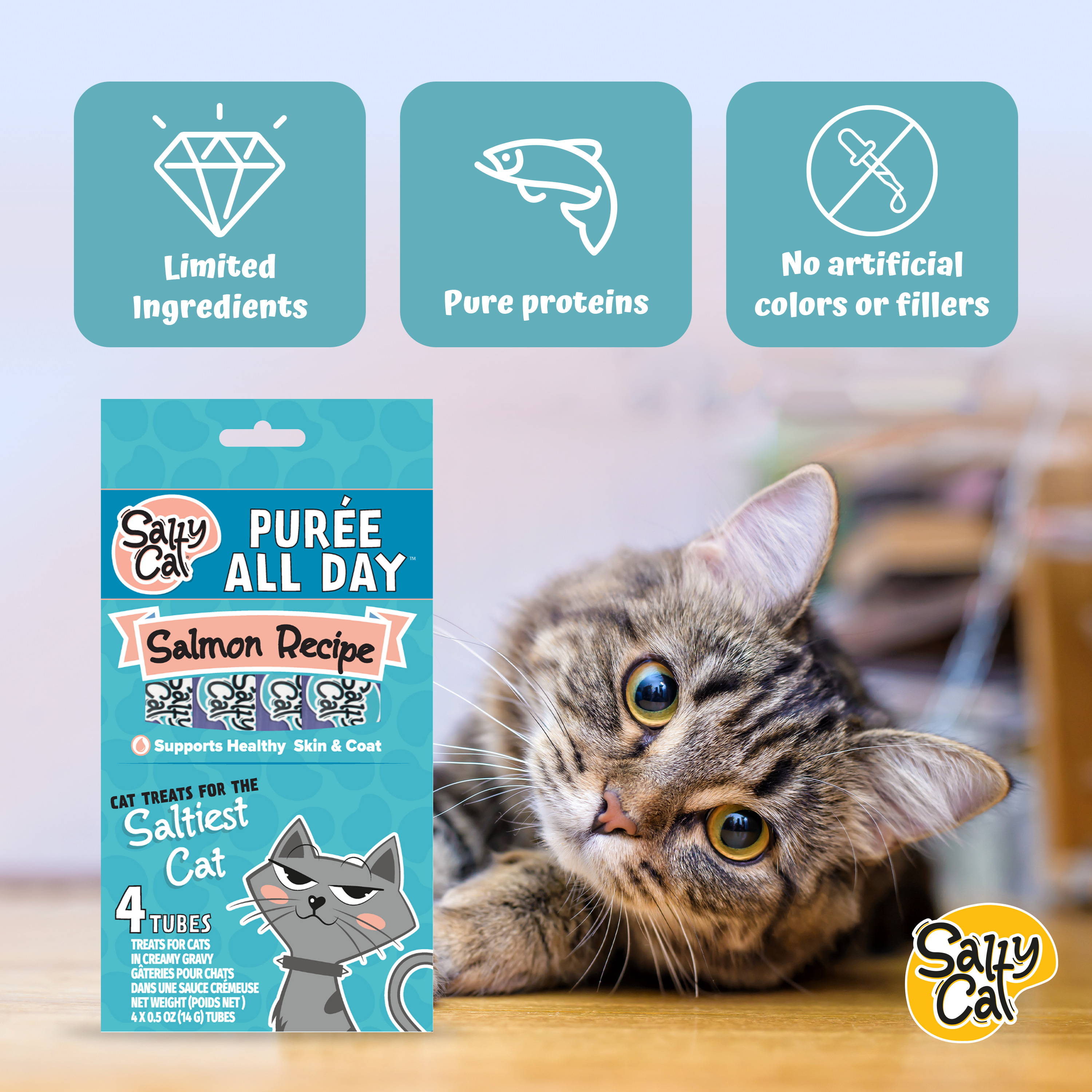 Salty Cat Purée All Day Natural Salmon Tube Cat Treats (12 Packs)