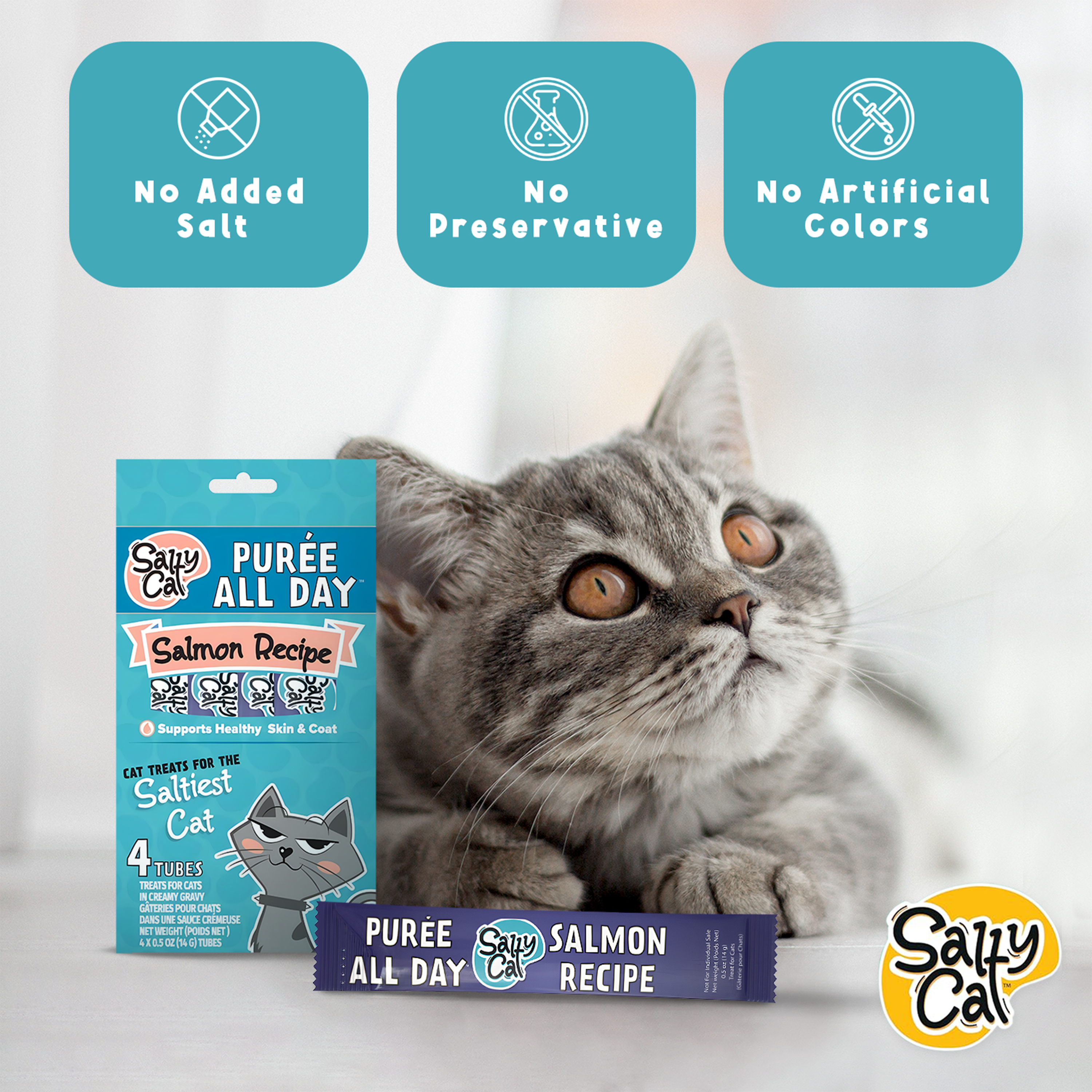 Salty Cat Purée All Day Natural Salmon Tube Cat Treats (12 Packs)