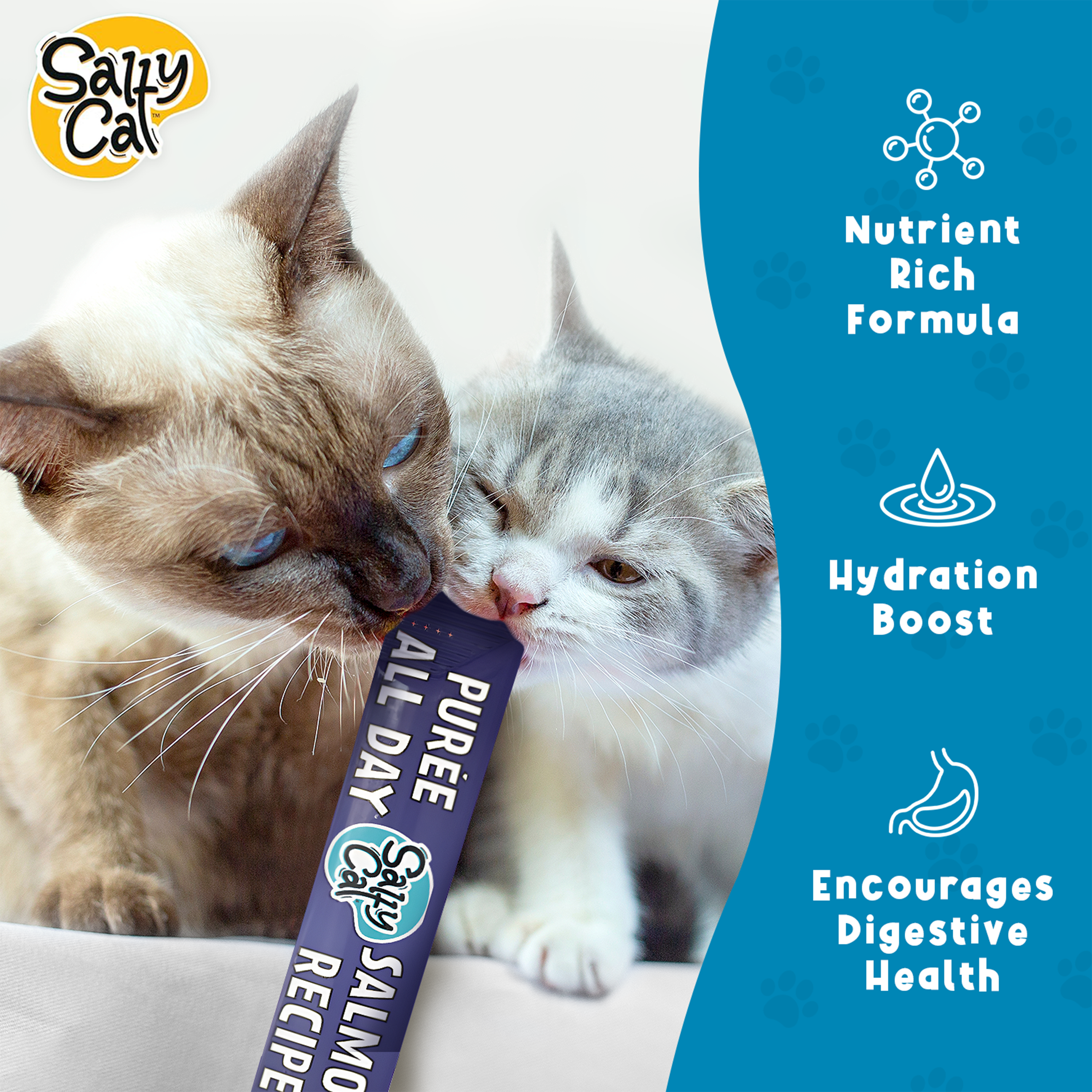Salty Cat Purée All Day Natural Salmon Tube Cat Treats (12 Packs)