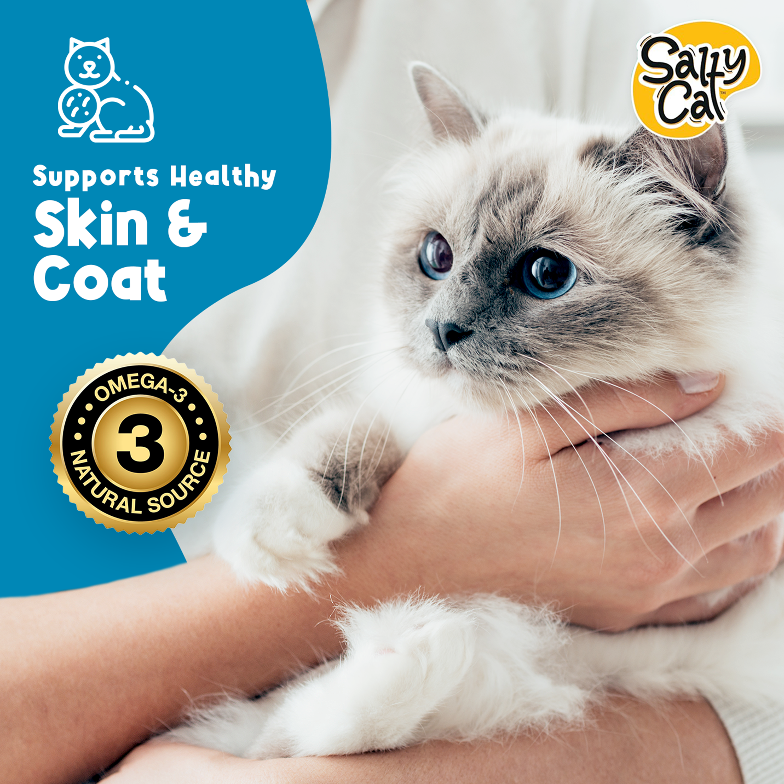 Salty Cat Purée All Day Natural Salmon Tube Cat Treats (12 Packs)