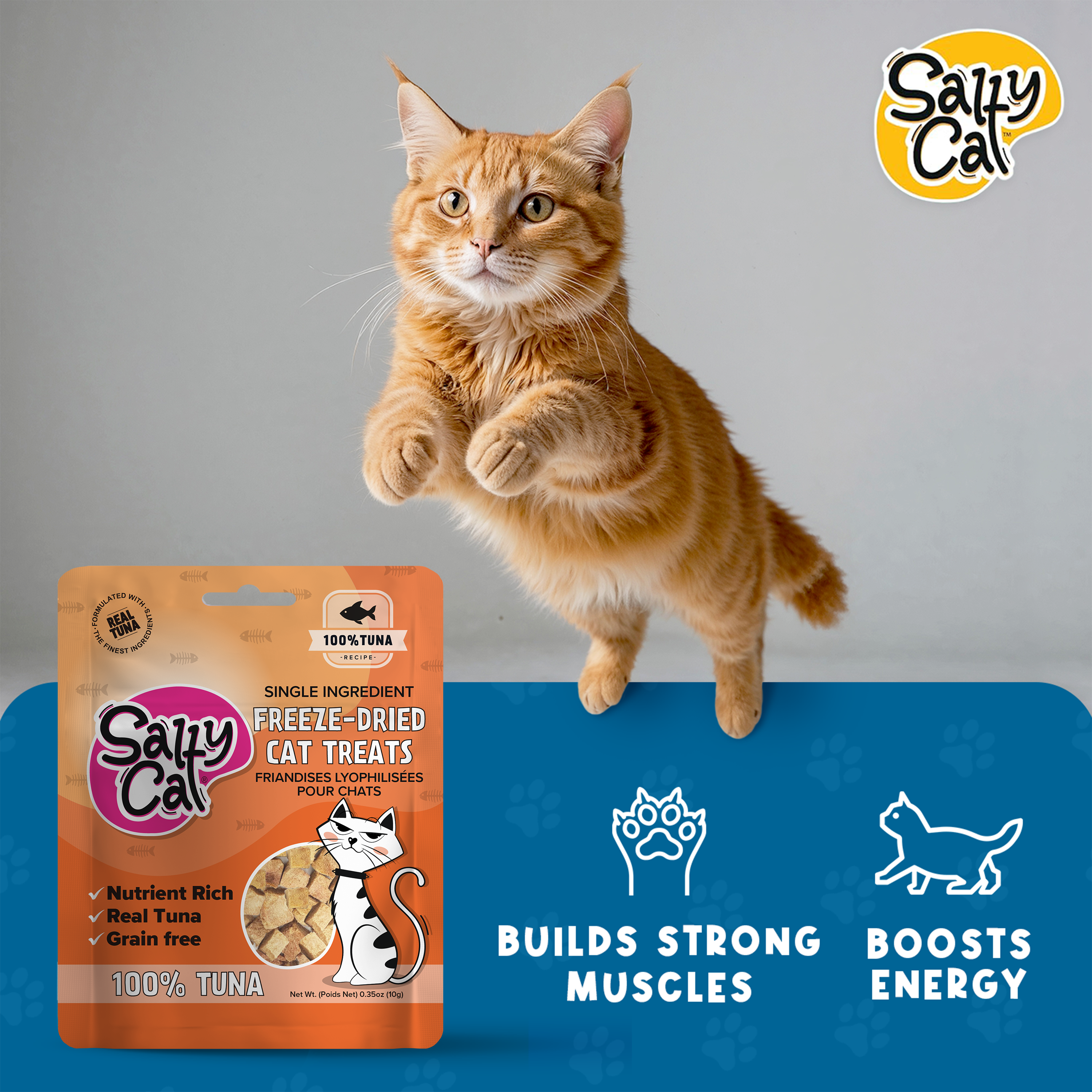 Salty Cat Freeze Dried Tuna Cat Treats, 10g Bag (12-Pack)