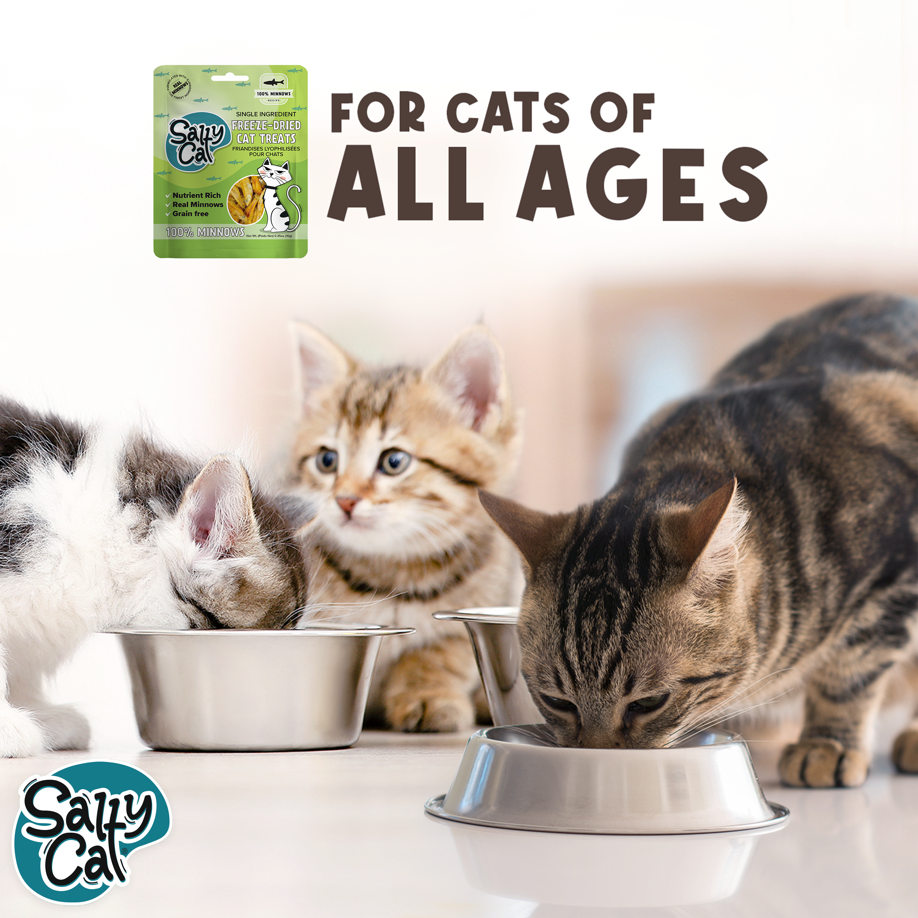 Three cats enjoy Salty Cat Freeze Dried Minnows 10g treats; perfect for cats of all ages.