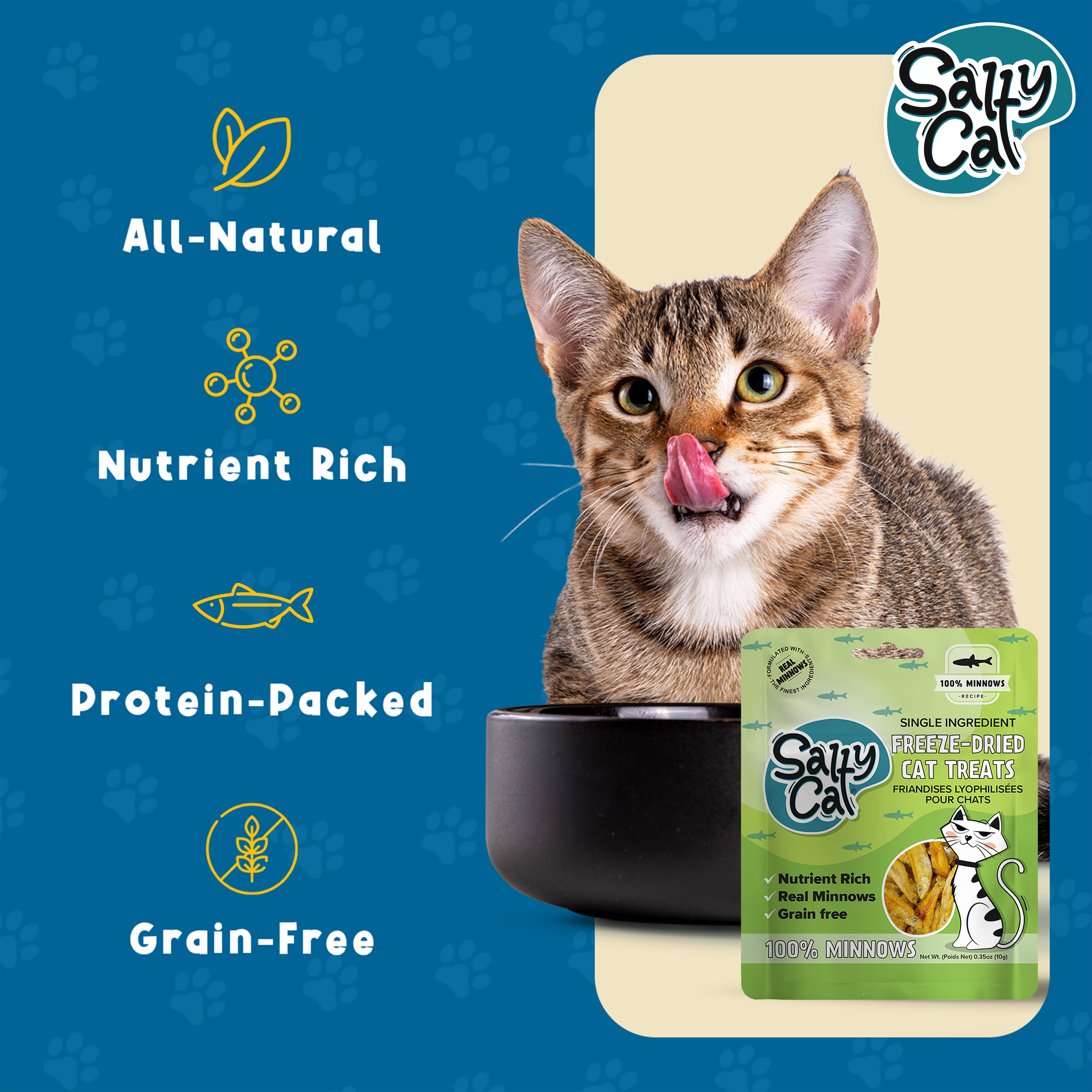 Tabby licking lips near Salty Cat Freeze Dried Minnows 10g—grain-free, wild-caught treats.