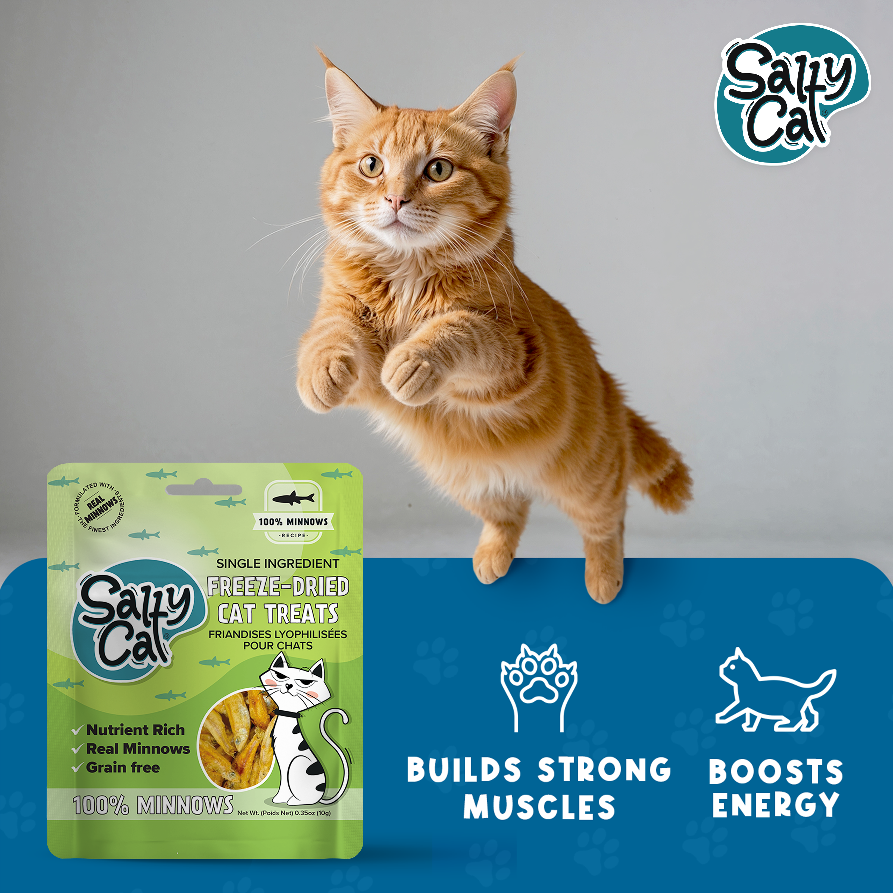 Orange cat jumps by Salty Cat Freeze Dried Minnows; benefits: energy, omega fatty acids.