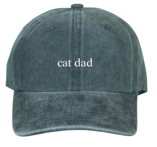 Salty Cat Cat Dad Cap: gray hat with "cat dad" in white—ideal for every proud cat lover.