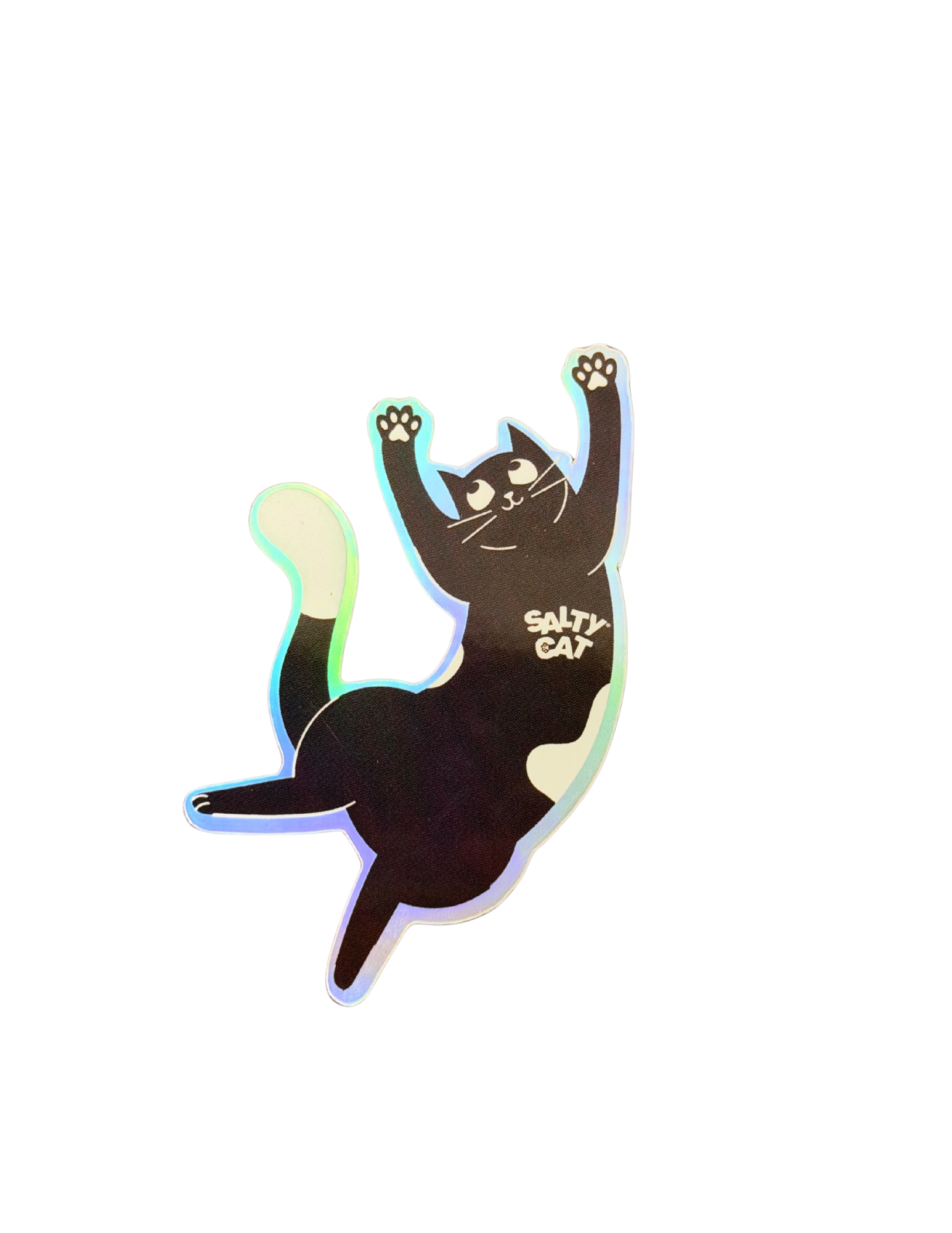 Salty Cat paws raised, dreaming of treats on a “Goodie Bag” sticker.