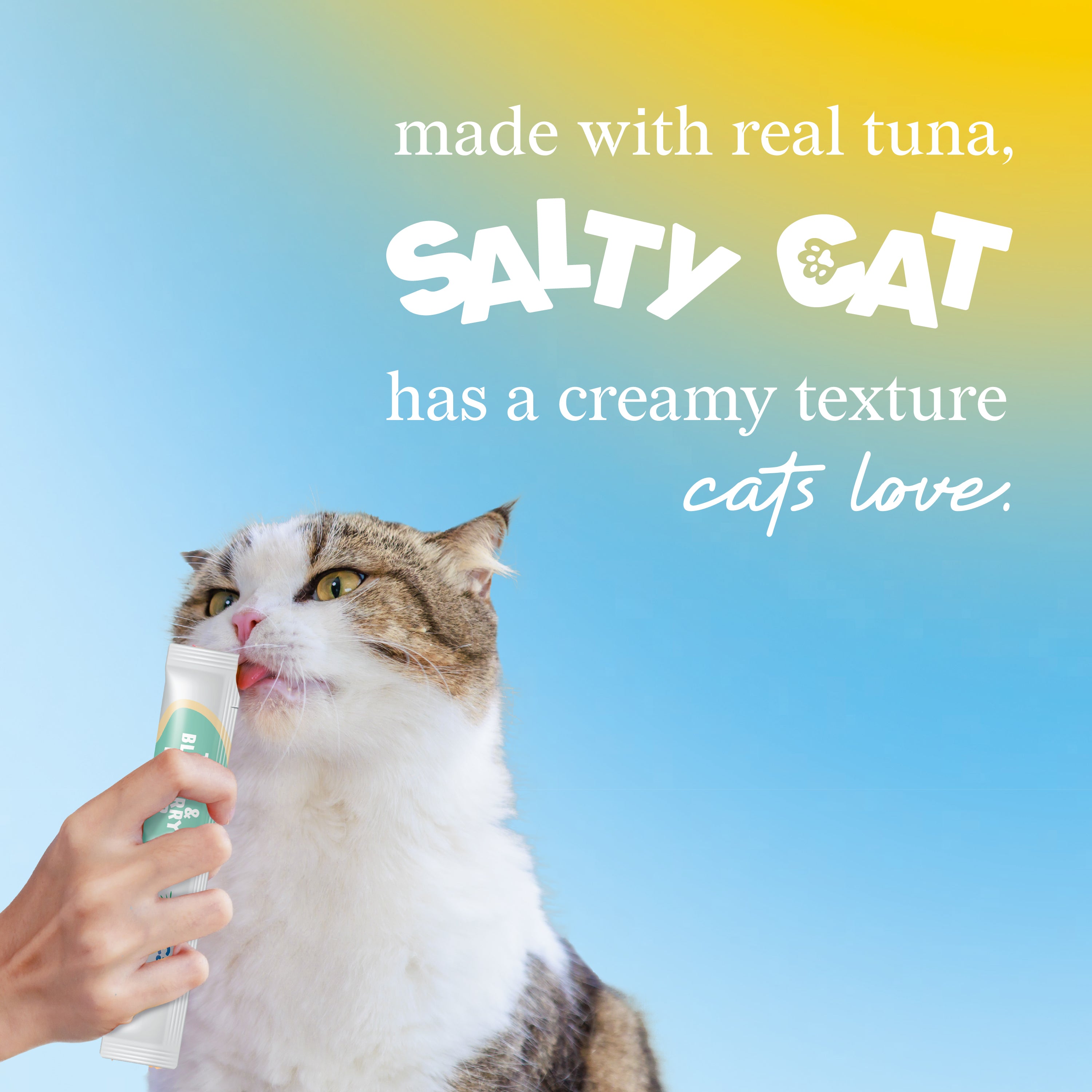 A cat licks a treat stick held by hand, with text for Salty Cat VitaCat Silky Skin and Coat.