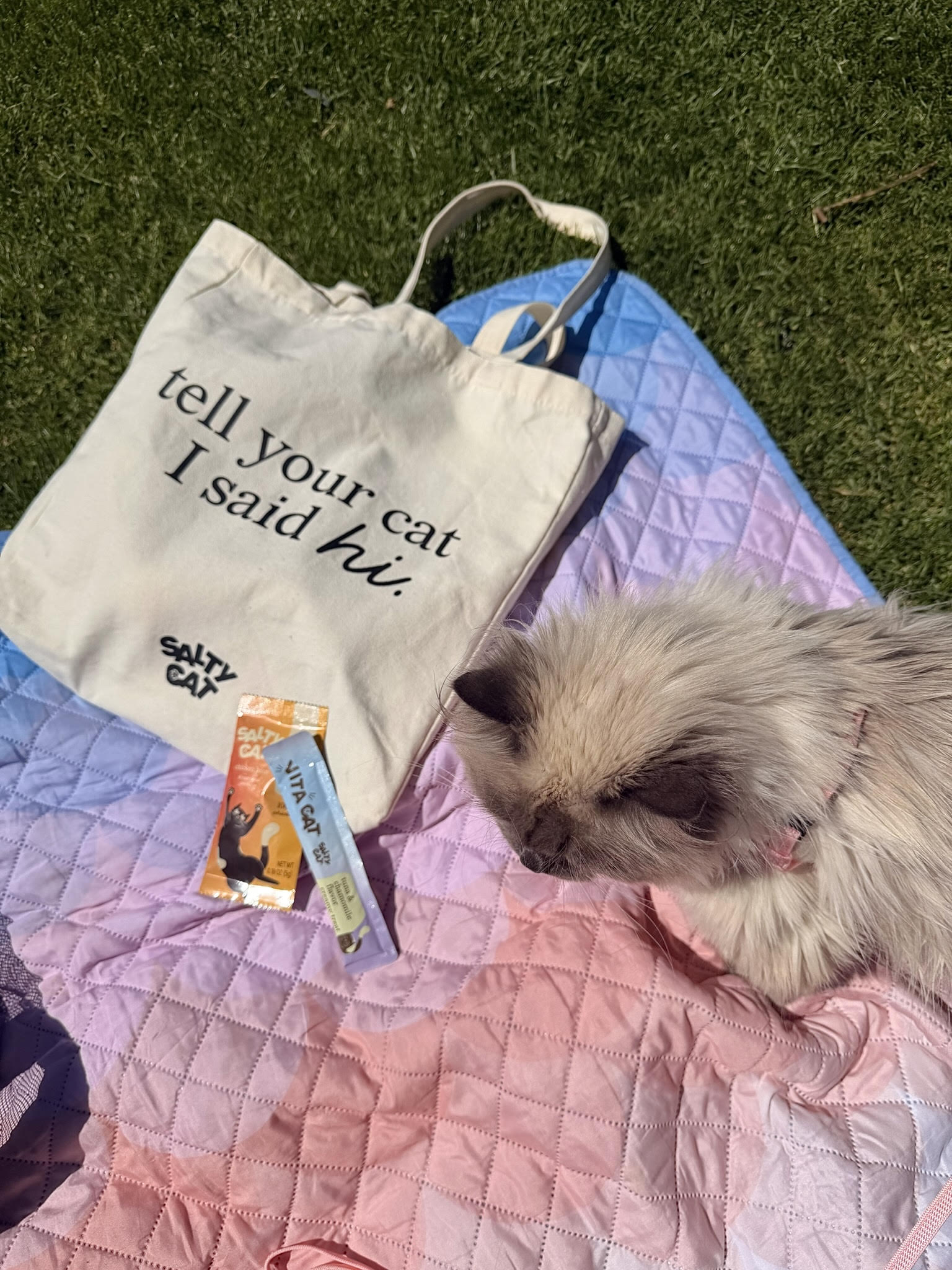Salty Cat Essential Tote Bag